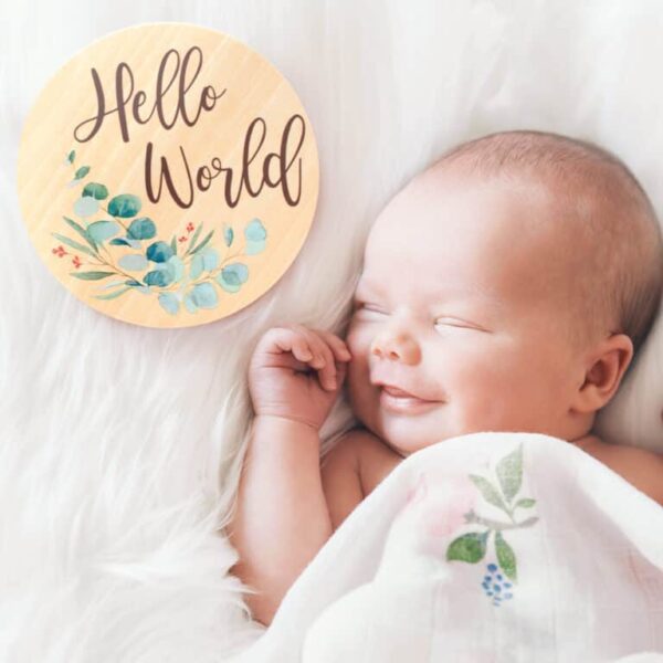 download (5) Beautiful Baby Monthly Milestone Cards