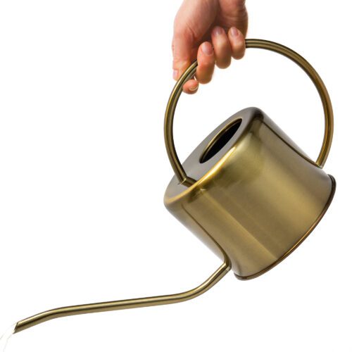 Golden Watering Can
