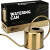 Golden Watering Can