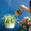 Golden Watering Can