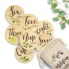 Beautiful Baby Monthly Milestone Cards