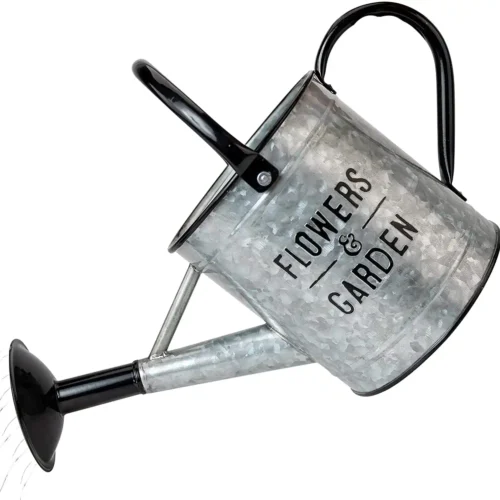 Galvanized Watering Can