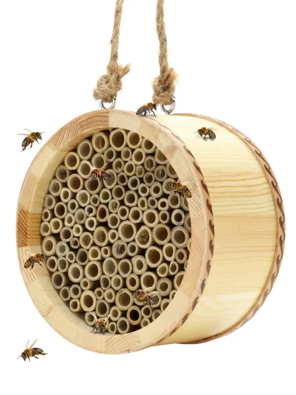 Mason Bee House 2