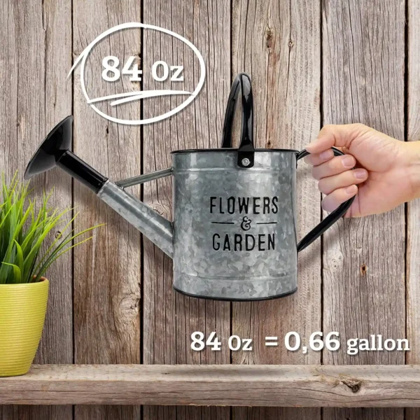 Galvanized Watering Can