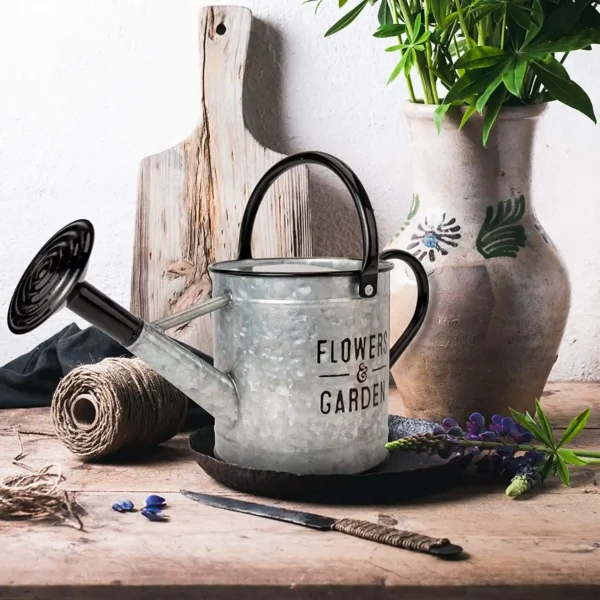Galvanized Watering Can