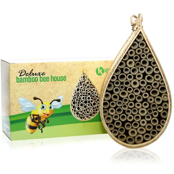 Mason Bee House 1