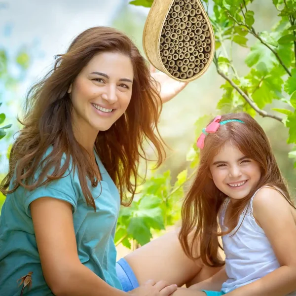 Mason Bee House 2