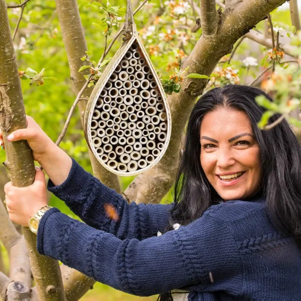 Mason Bee House 1