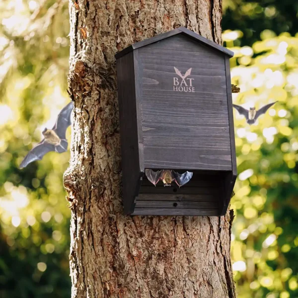 Handcrafted Wooden Bat House